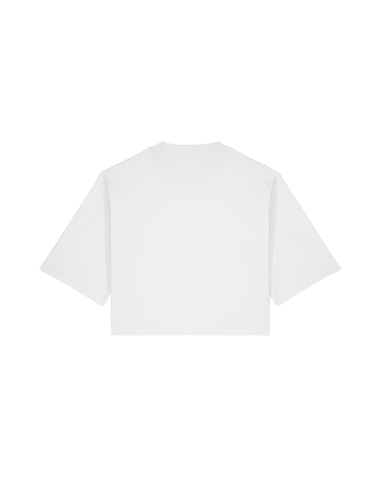 48282